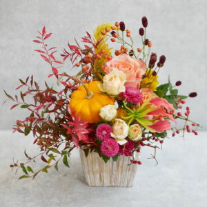 t[AWg  j  o^C  yIׂ5ށz o Mtg v[g a LO LO Cj  җ Ê 킢 ybg  sN 