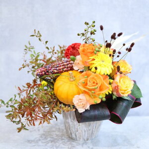 Iׂ4^Cv   o t[AWg Mtg v[g t[Mtg  a LO LO җ Ê    j 킢  sN  Jt