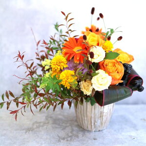 Iׂ   ̓ o t[AWg Mtg v[g t[Mtg  a LO LO җ Ê    j 킢  sN  Jt