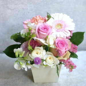 t[AWg  j  o^C  hV yIׂ5ށz o Mtg v[g a LO LO Cj  җ Ê ̓ 킢  s