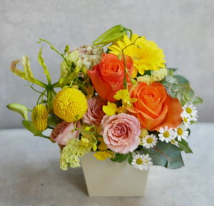 t[AWg  j  o^C  yIׂ5ށz o Mtg v[g a LO LO Cj  җ Ê 킢 ybg  sN 