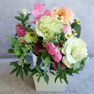 t[AWg  j  o^C  hV yIׂ5ށz o Mtg v[g a LO LO Cj  җ Ê ̓ 킢  s