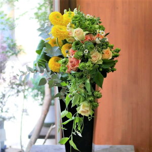 t[ AWg  킢 a j JXj v[g K[x o qyJ F̉f鍂̂ AW  yԏuhz