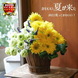 楽天市場 トルコキキョウ 八重の通販