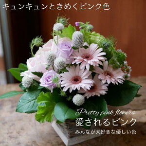 t[ AWg  킢 a j JXj v[g K[x gRLLE }gJA AW yԏuhz