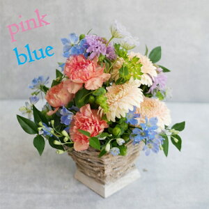   ~ ~  @ l\    @v   ybg  t[  i _ t[Mtg   t[AWg v[g 