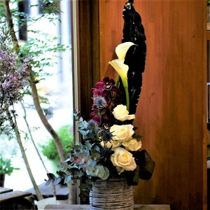 t[ AWg  킢 a j JXj v[g VrWE o J[ AW  yԏuhz