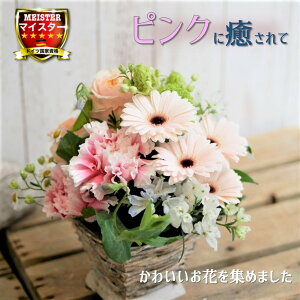 t[ AWg  킢 a j JXj v[g K[x@o@J[l[V sN  킢 AW yԏuhz