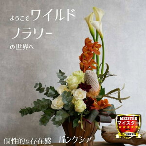 t[ AWg  킢 a j JXj v[g J[@o@VrWE oNVA [J  yԏuhz