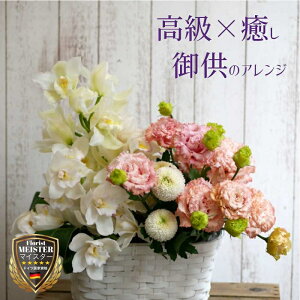 t[ AWg  킢 v[g    t[AWg v[g e gRLLE  yԏuhz