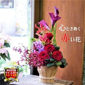 t[ AWg  킢 a j JXj v[g J[ o OIT AZ AW  yԏuhz