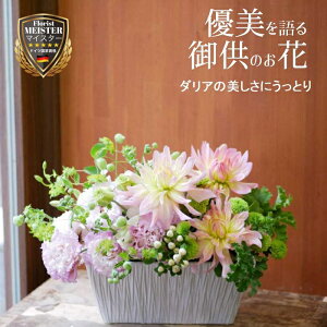    @ l\    @v ފ ICA    ̐l t[  i _ Mtg   t[AWg v[