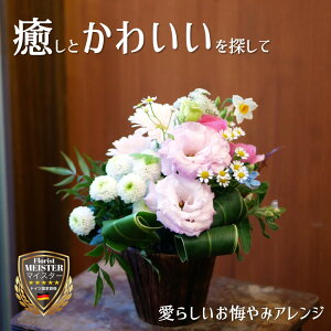    @ l\    @v   ybg  ̐l t[ AWg  i _ t[Mtg   t[ v[g g