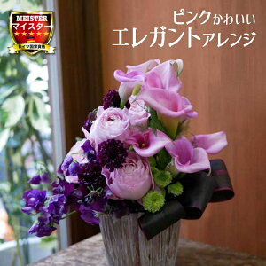 t[ AWg  킢 a j JXj v[g J[ o XC[gs[ AW  yԏuhz