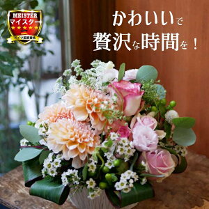 t[ AWg  킢 a j JXj v[g _A o IW  킢 AW  yԏuhz