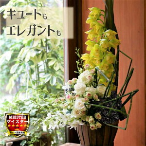 生花 シンビジウムの人気商品 通販 価格比較 価格 Com 生花 シンビジウムの人気商品 通販 価格比較 価格 Com