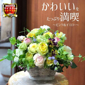 Ղ薞i t[ AWg  킢 a j JXj LO v[g Mtg o gRLLE pW[ AW  yԏuhz