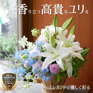 t[ AWg  킢 v[g     s|} ftBjE AW  yԏuhz