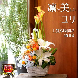 t[ AWg  킢 a j JXj v[g  J[ o ftBjE AW  yԏuhz