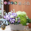 アナスタシア Mサイズ お供え 花 お供え花 法事 四十九日 仏花 命日 法要 洋花 枕花 初七日 供え花 故人 フラワー アレンジメント 花 上品 おしゃれ フラワーギフト お悔やみ 一周忌 プレゼント 菊 送料無料 【花匠美ブランド】