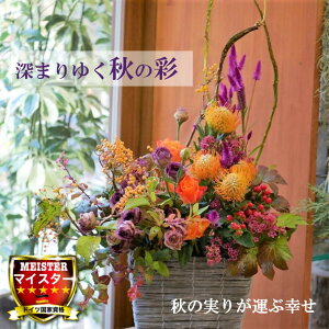 生花 キキョウ トルコの人気商品 通販 価格比較 価格 Com