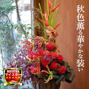 t[ AWg  킢 a j JXj v[g wRjA o VrWE IȂԂT̕ AW  yԏuhz