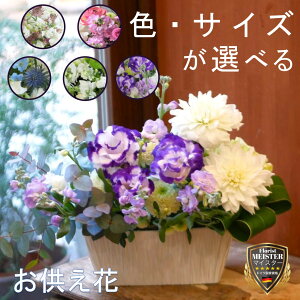   Iׂ STCY MTCY @ l\   @v m    ̐l t[  i  t[Mtg   t[AWg v[