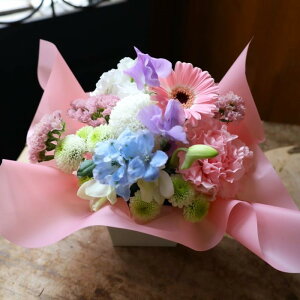 t[AWg  j t  yIׂ5ށz o Mtg v[g a LO LO Cj  җ Ê ̓ 킢 ybg  sN  J