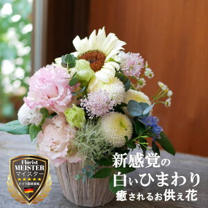 hV̓    @ l\    @v ފ   ybg  ̐l t[ AWg  i _ t[Mtg   t[