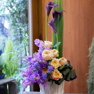 t[ AWg  킢 a j JXj v[g J[ o XC[gs[ AW  yԏuhz