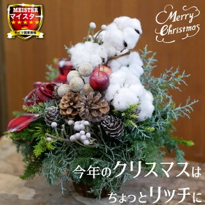 NX}X Weihnachten a  av[g AWg t[ Mtg ʉ  LO   a   yԏuhz