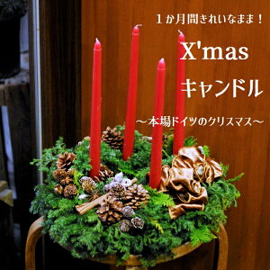 NX}X Weihnachten a  av[g AWg t[ Mtg ʉ LO   a   yԏuhz