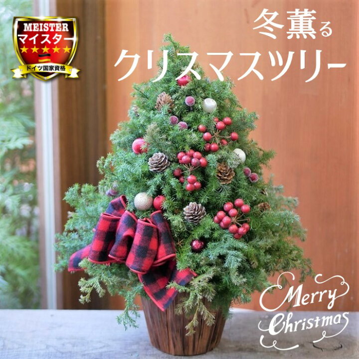 楽天市場 クリスマス ツリー アレンジ Sサイズ ディスプレイ クリスマスプレゼント 飾り ナチュラル 豪華 インテリア 北欧風 ドイツ風 北欧 ドイツ 長持ち 赤 オレンジ ゴールド シルバー グリーン 緑 おしゃれ かわいい 自宅 店舗用 ギフト プレゼント 天然素材 生花