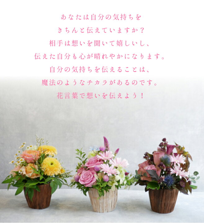 楽天市場 花言葉 で 選ぶ 花 生花 フラワーアレンジメント ギフト プレゼント フラワーギフト ガーベラ トルコ桔梗 薔薇 感謝 応援 幸せ 送料無料 誕生日 記念日 結婚記念日 結婚祝い 開店祝い 還暦 古希 女性 妻 母 女性 花匠美ブランド 誕生日 開店祝い