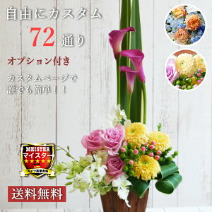 yIvVtzRɃJX^I72ʂyAWV~[Vz t[AWg  Mtg v[g  a j ʉ 킢lۂ  