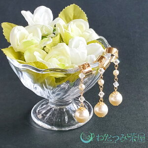 y  z C[Jt CJt CO p[ XtXL[ nhCh ANZT[ LL 킢 v[gy 킾ݒ z