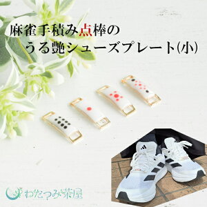 y z V[Yv[g Xj[J[ANZT[ CpANZT[ 2_Zbg  __ Mu VY j[N nhCh ANZT[ LL v[g f[g y 킾