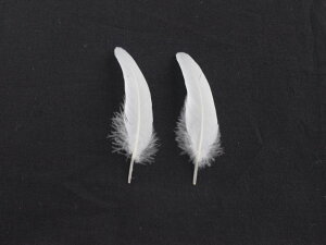 H@ H ij10{yp]yHzH u[` H H RT[W H CO([։\)