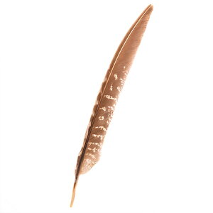 H LW@ 5{ 10-20cmypzyHzyANZT[ p[c H | tFU[ ANZT グzH  H | H r[Y H Xq@y[ցz