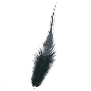H  10-15cm  10{yH ̉H Black Feather tFU[ p[c ANZT[ H H | ANZT グ Hzy[ցz
