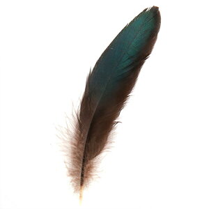 H H 8-15cm@5{yp̉H HzyHzyHzytFU[z[ H  H | H r[Y H Xq@h[Lb`[