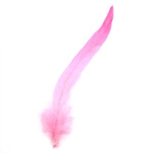 H LT[sN 10-15cm 10{@p̉H ANZT[ p[c H tFU[ | H ANZT グzy[ցzH  H | H r[Y H Xq