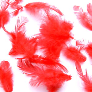H  bh tFU[ 5g `eB[ԂH Red Color Feather [