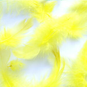 H H F CG[ 5g F̉H y[ցzH  H | H r[Y H Xq@h[Lb`[