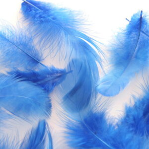 H H  u[ H y[ցzH  H | H r[Y H Xq@h[Lb`[