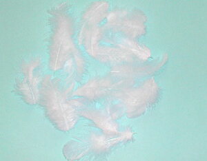 H  H  5g H y[ցzytFU[zH  H | H r[Y H Xq@h[Lb`[