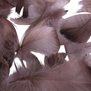 H RL[ u H  H  H r[Y@Vg̉H@H@fBXvC H GWFV[ H@ANZT[@H wbghX@H@RT[W ŏォ~炷