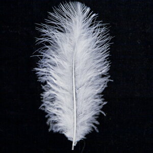 H tbg唒 H  H  H@r[Y@ Vg̉H@H@fBXvC H GWFV[ H@ANZT[@H wbghX@H@RT[Wy[ցz