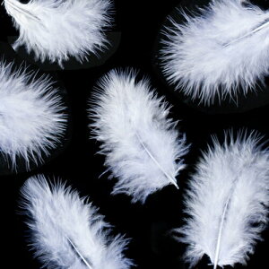 H tbg H  H  H@r[Y@ Vg̉H@H@fBXvC H GWFV[ H@ANZT[@H wbghX@H@RT[Wy[ցz