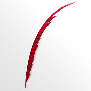 MPC@ 1{ 40-50cmyp̉HzyANZT[ p[c H tFU[ | ANZT グzߑ _Xߑ hXߑ